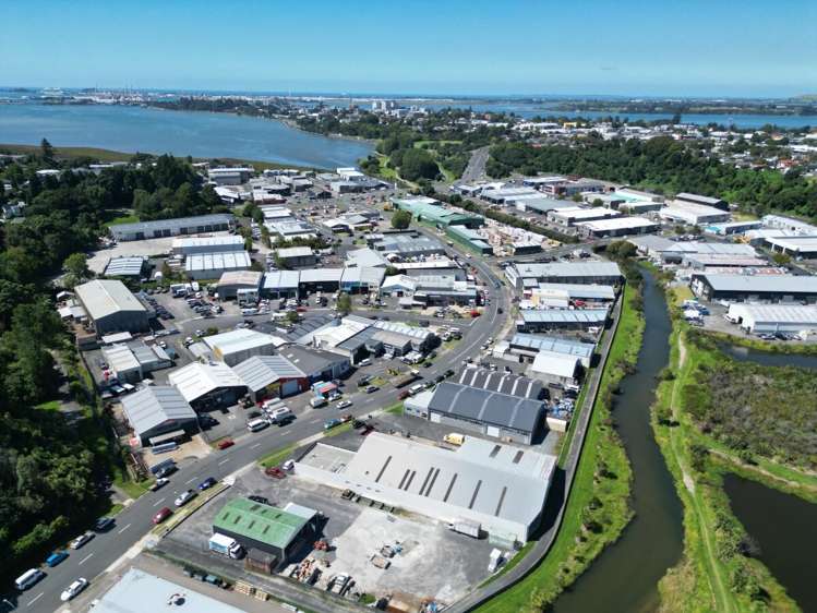 66 Birch Avenue Judea_5