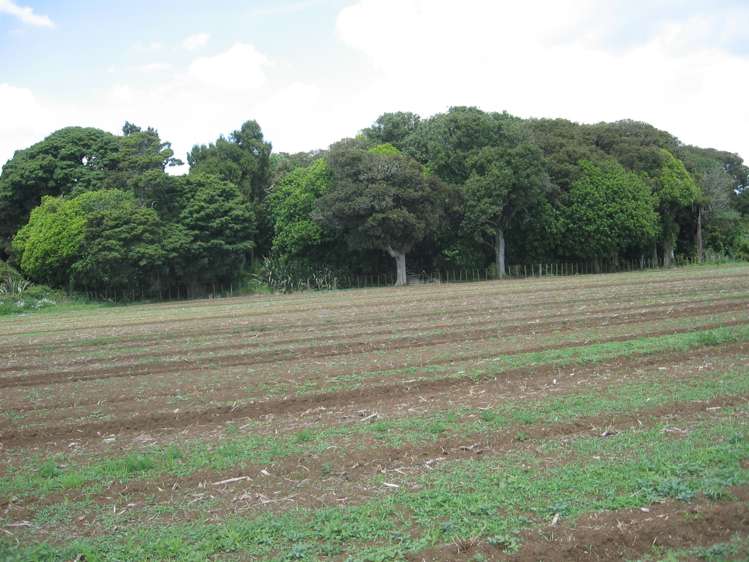 11 Hill Road Waiuku_5