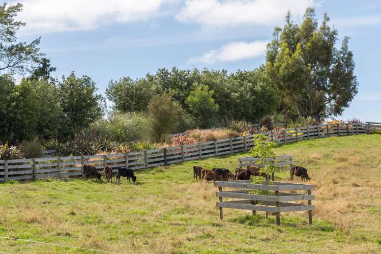 67A Lees Pakaraka Road Masterton_23