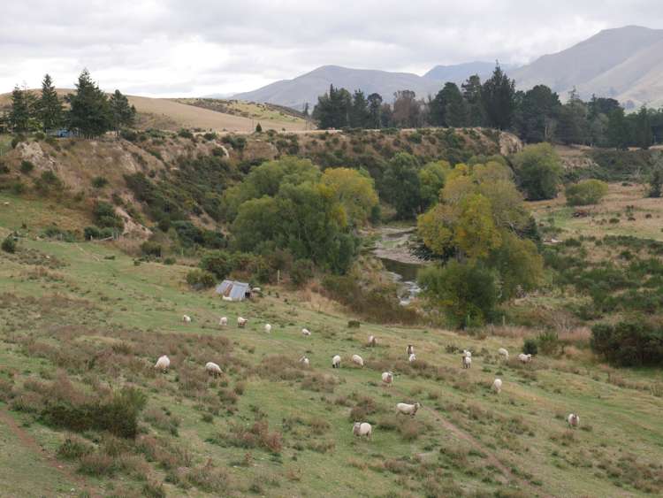 1390 Dunback-Morrisons Road Waynes_25