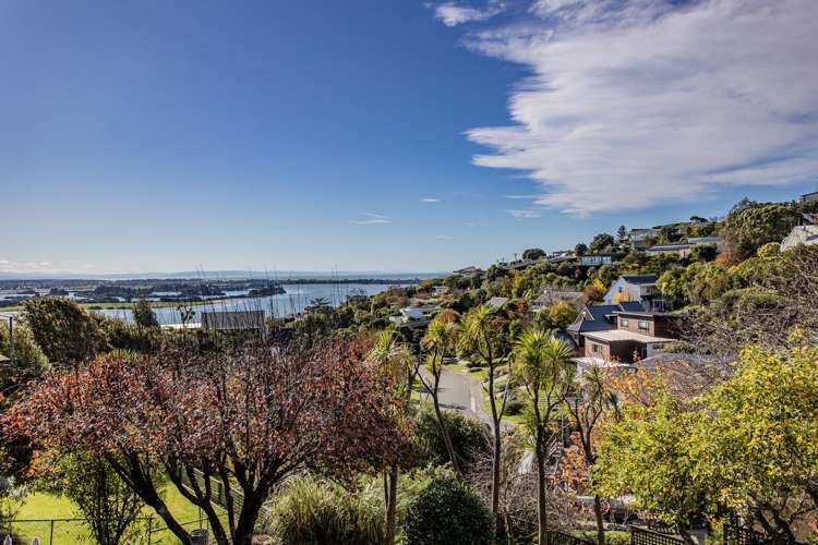 65 Cannon Hill Crescent Mount Pleasant_29