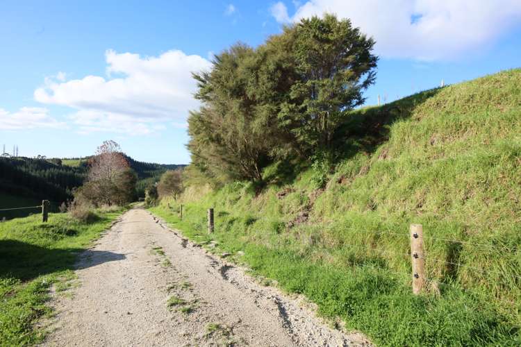 Maniatutu Road Pongakawa_6