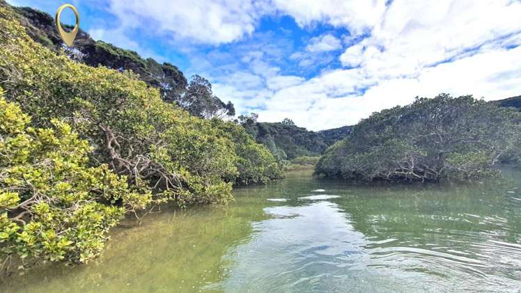 Lot 4 DP66008 North Cove Kawau Island_19