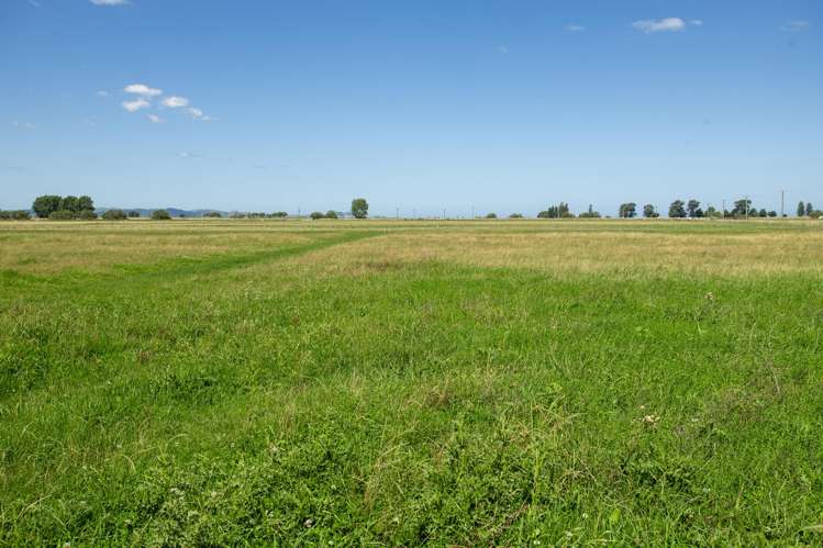 1343 Wharerata Road Muriwai_16