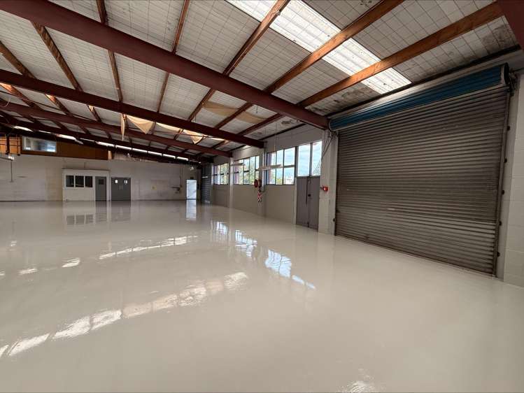 367 Rosebank Road Avondale_6