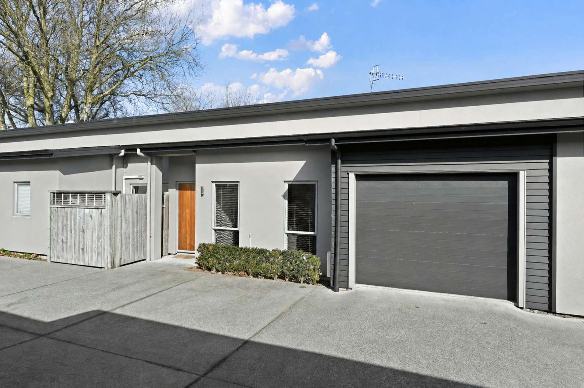 47B Albert Street Hamilton East_0