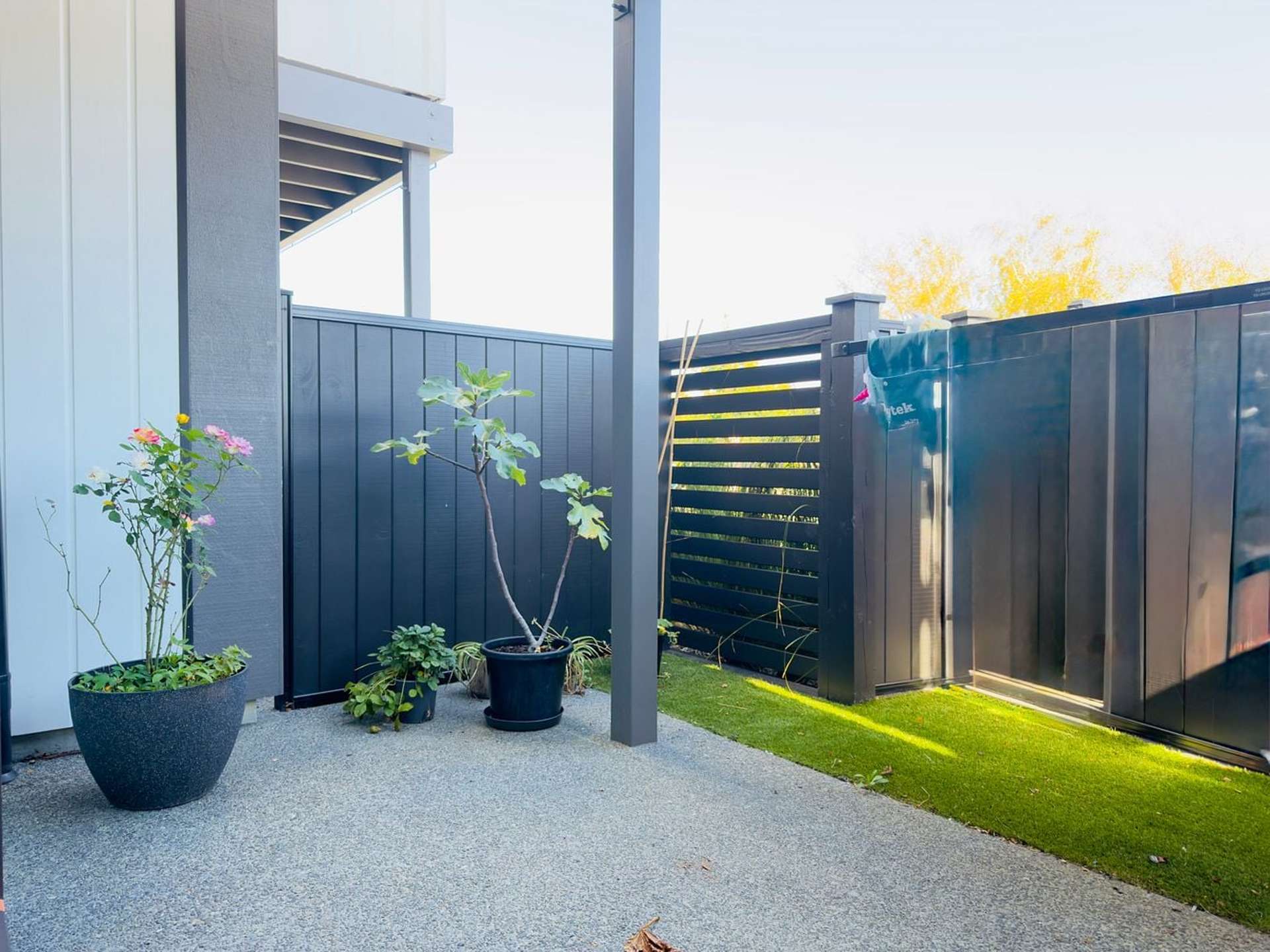 6/1 Myrtle Street Hutt Central_0