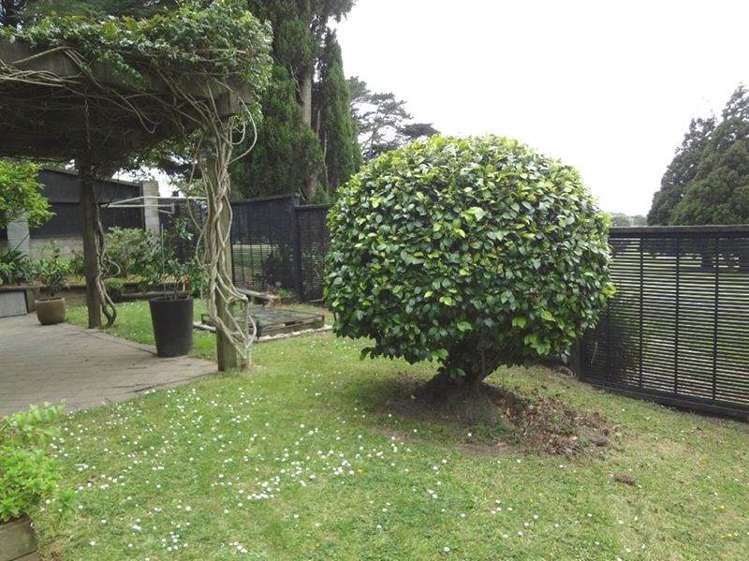 1446a Dominion Road Mount Roskill_13