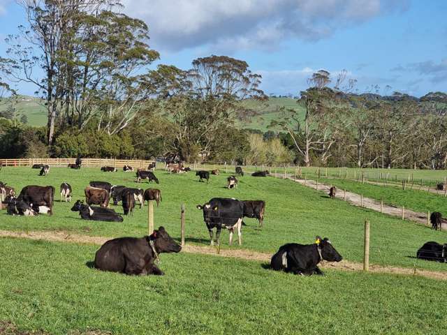 Lifestyle blocks Waipu - Taipuha