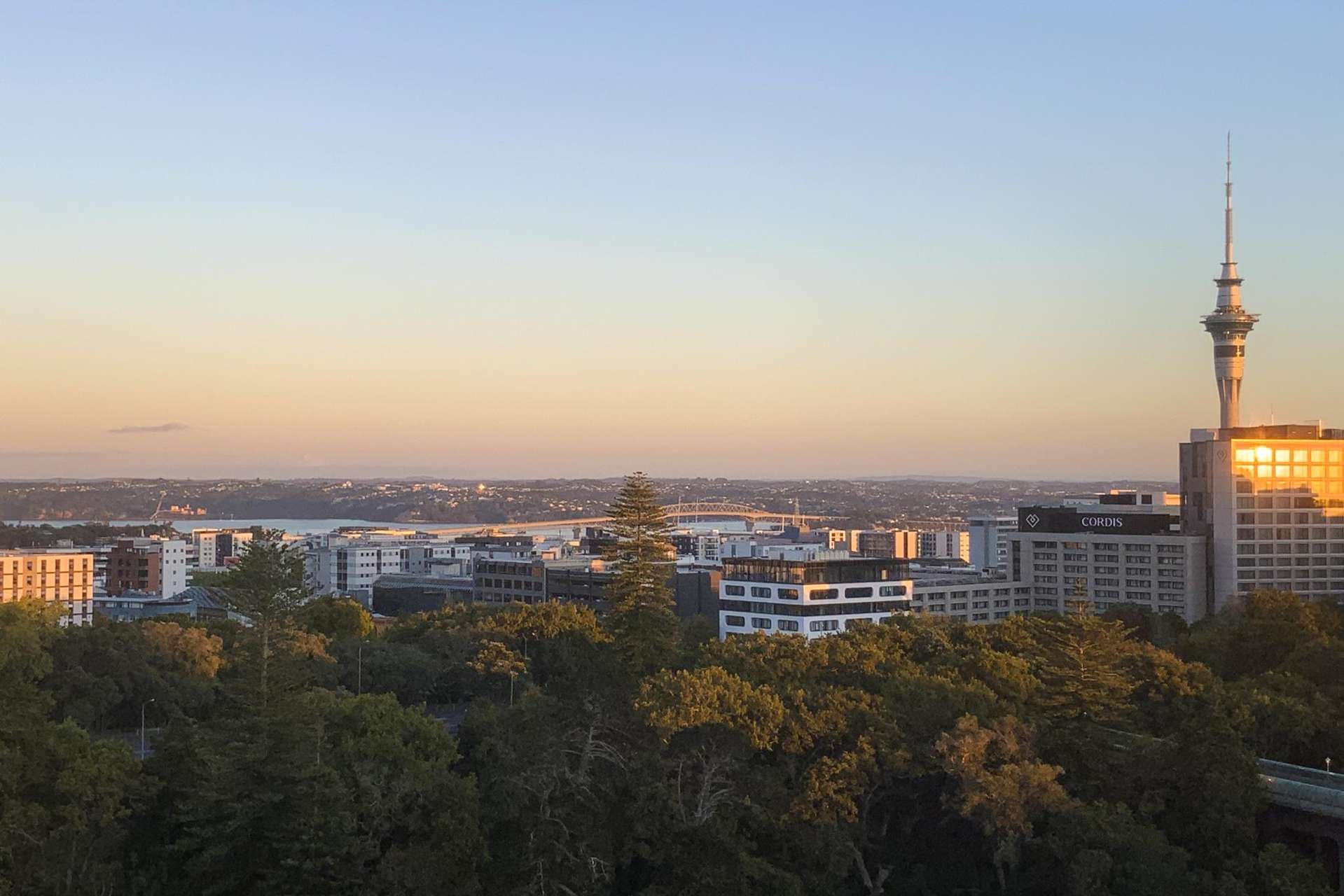 804/135 Grafton Road Grafton_0