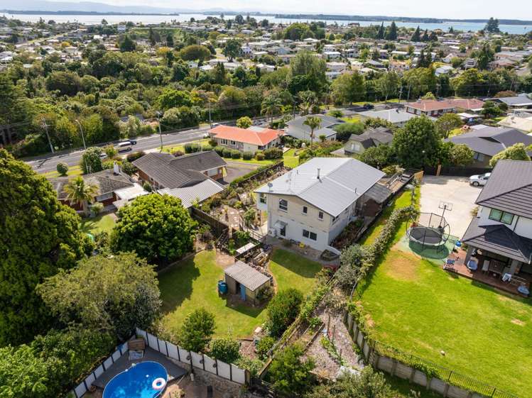 358 Ngatai Road Bellevue_22