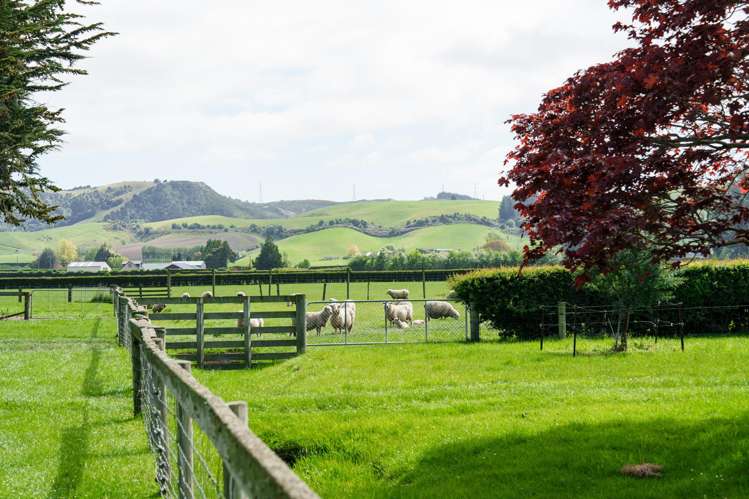 65 School Road North North Taieri_39