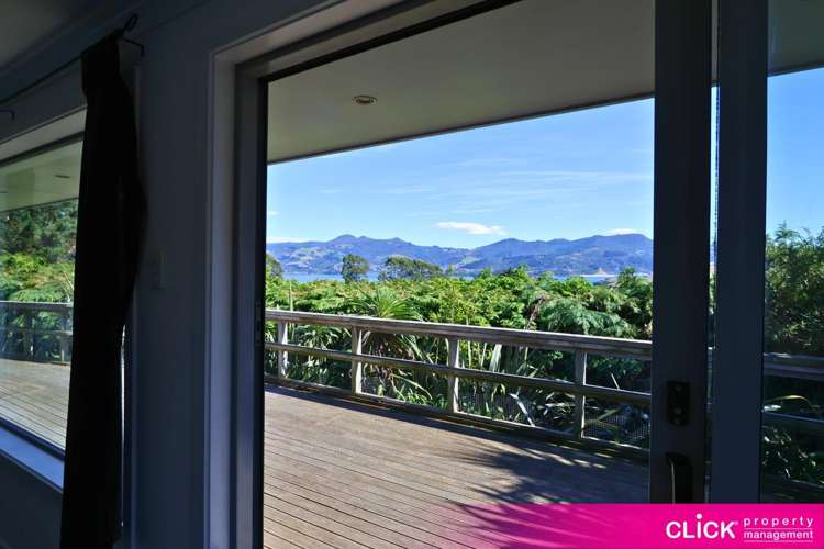 16 Treetop Drive Portobello_3