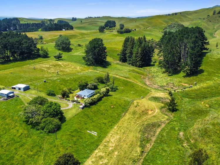 946 Limeworks Loop Road Te Pahu_22