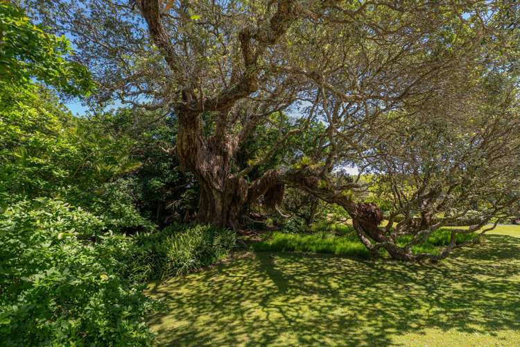 . Sh25 Te Rerenga-Kuaotunu Road Kuaotunu_21