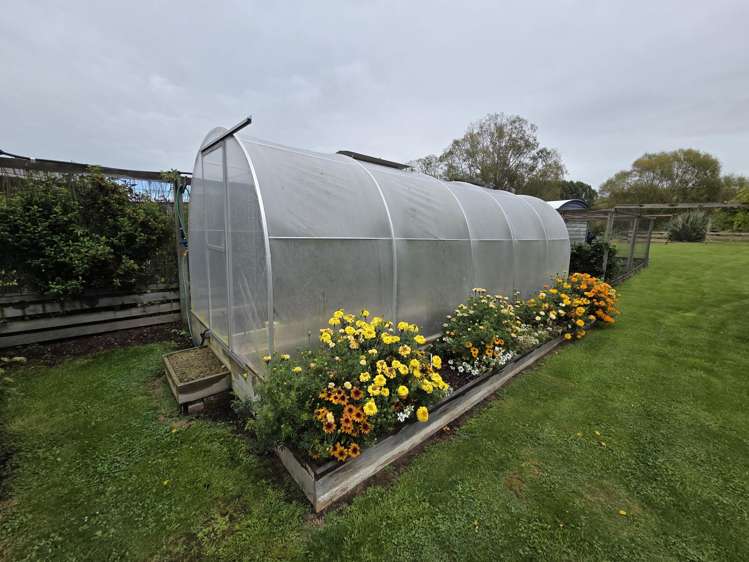 902 Lawrence Waitahuna Highway Waitahuna_15