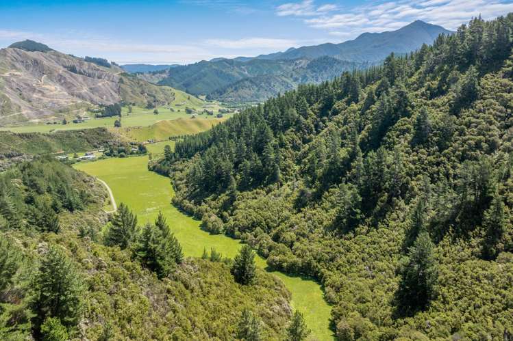 140 Leslies Road Okaramio_29