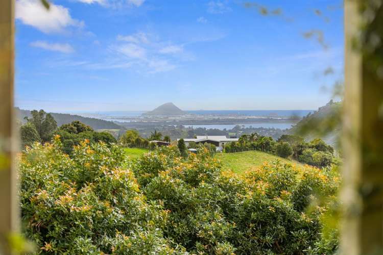 80b Kaiate Falls Road Kaimai_19