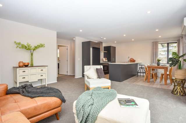 3/93 Harley Street Masterton_2