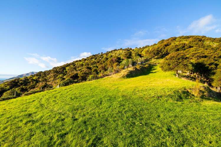 87 Biggsburn Way Todds Valley_21