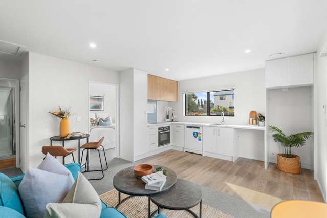 45B Ryan Street Phillipstown_2