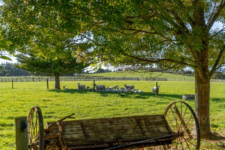 659 Dalefield Road Carterton_25