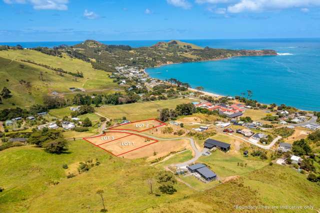 21 Martin Road Omapere_1