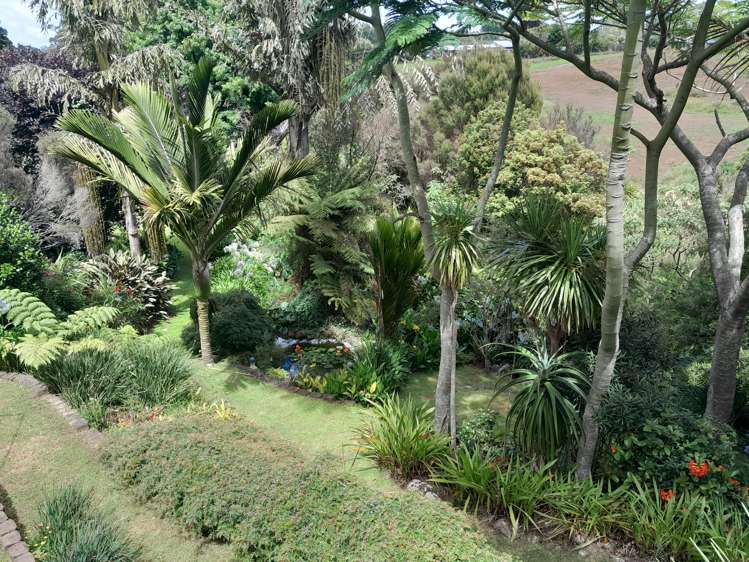 16 Limelight Lane Kerikeri_41