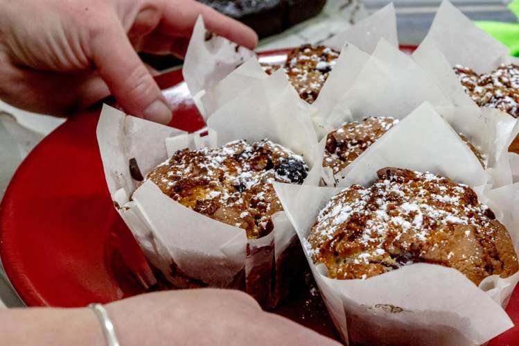 33 Main Road Harihari_11