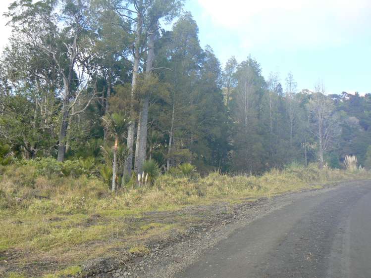 Jamieson Road Omanaia_3
