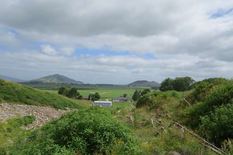 676 Puketarata Road Otorohanga_5