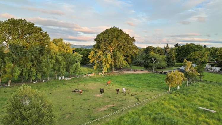 509 Marychurch Road Matangi_39