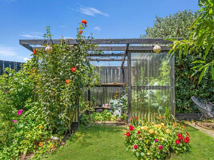 35 Kokiri Street Ngongotaha_31