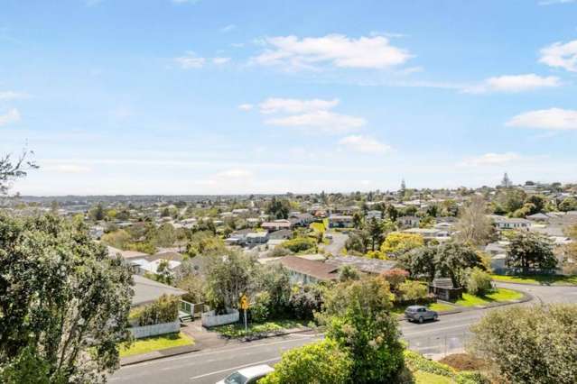 84 Awaroa Road Sunnyvale_4