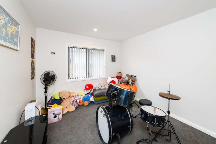 2a Massey Street Palmerston North Central_18