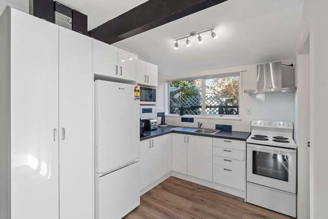 321B Wairakei Road Burnside_1