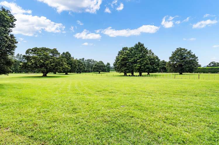 417 Three Mile Bush Road Kamo_6