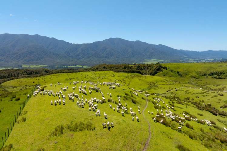 220 Quartz Range Road Bainham_15