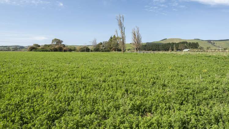 Chishams Road Martinborough_6