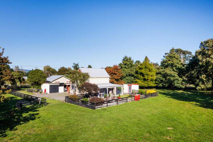 116 North Street Ashhurst_11