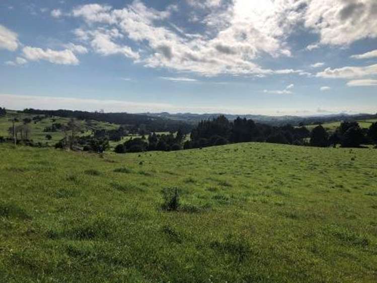 Whakataha Road Waimate North_7