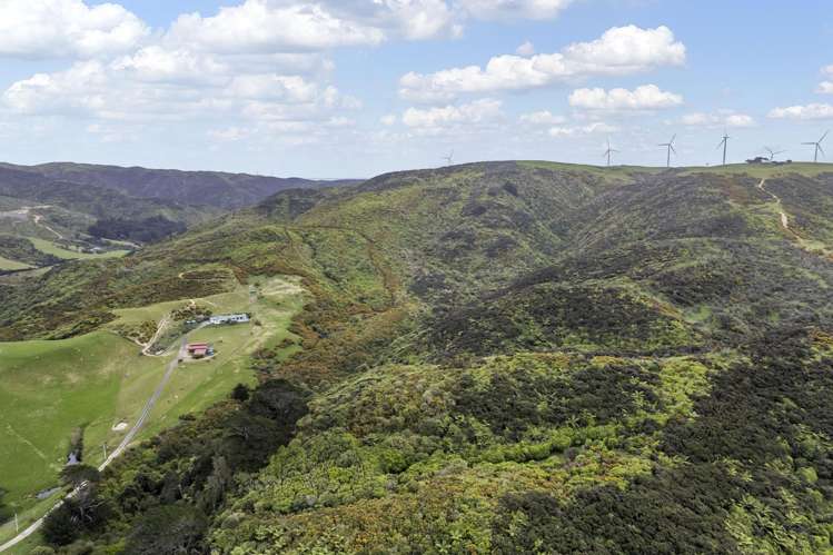 525A Makara Road Makara_20