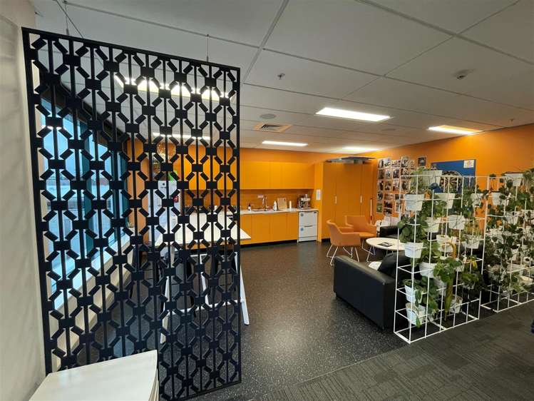 103 Carlton Gore Road Newmarket_5