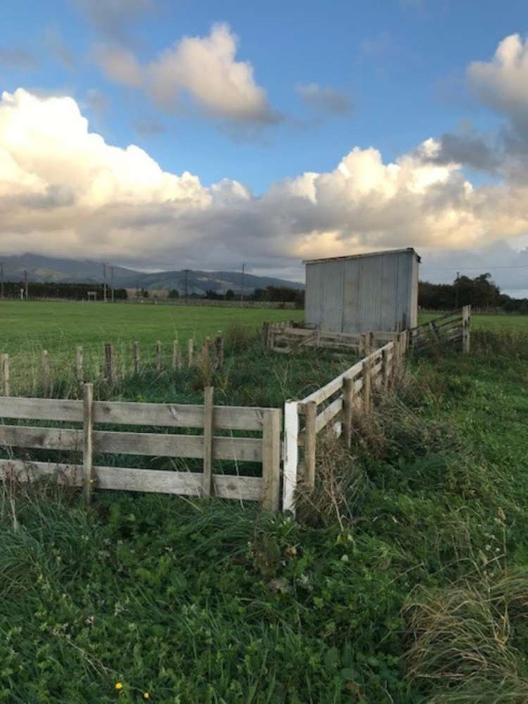 171 Tararua Road Levin_6