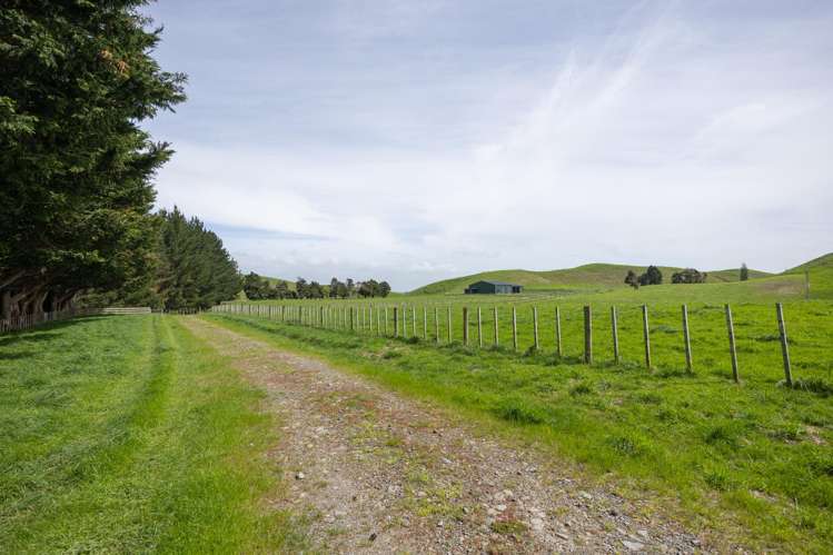 137 Zigzag Road Pohangina Valley_1