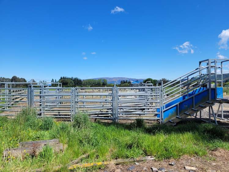 101 Dukes Road Mosgiel_6