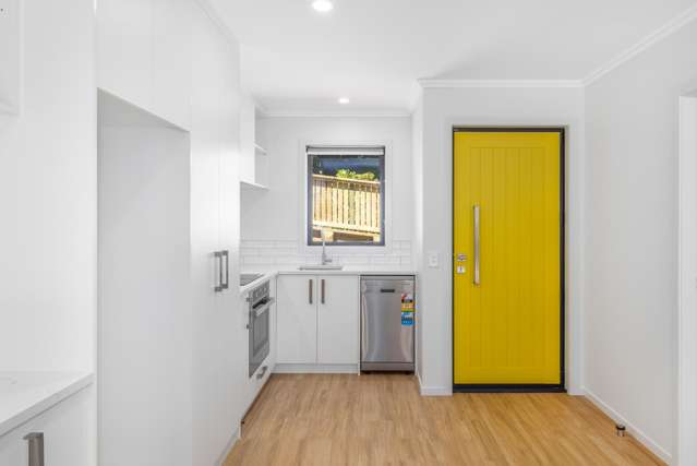 28E York Street Levin_1