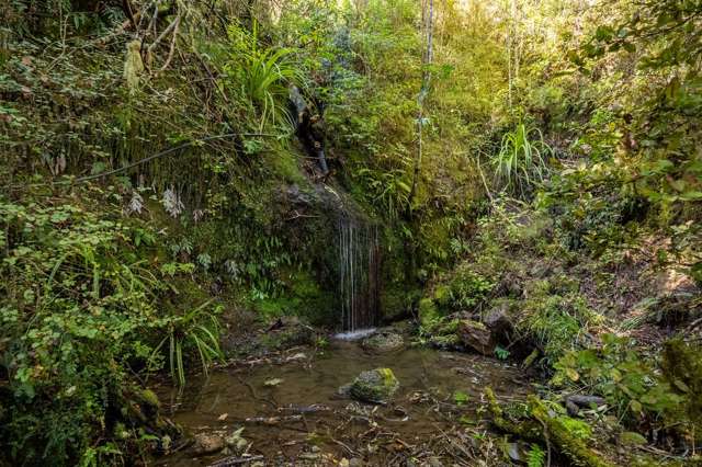 288 Matiri Valley Road Murchison_1