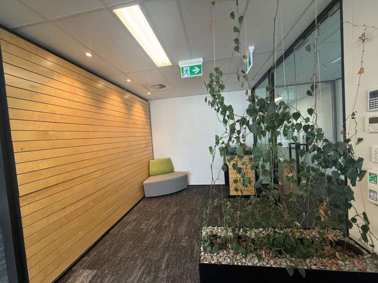 86 Moorhouse Avenue Addington_10