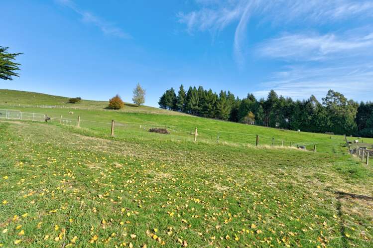 3126 Old Coach Road Clinton and Surrounds_29